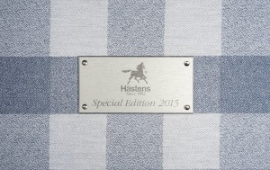 Hästens trumpft im Herbst mit zwei Sondereditionen auf, u.a. der Hästens Special Edition Ocean Blue. © Hästens