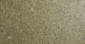 Natürliche Oberflächen wie „Wildspitze Margeritta“ sind die Spezialität von Organoid – und begeistern nun bei „unit“ von Neudoerfler. © Organoid
