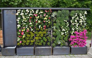 Aufgeblüht: Vertical Magic Garden sorgt für Ambiente- auch mit mobilen grünen Wänden. © Vertical Magic Garden